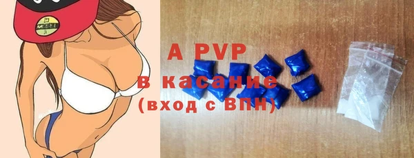 дживик Белокуриха