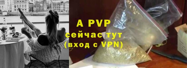 ГАЛЛЮЦИНОГЕННЫЕ ГРИБЫ Бородино