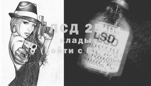 дживик Белокуриха