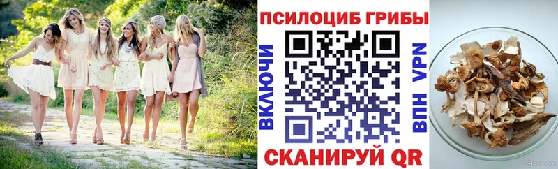 Купить  Уржум  Псилоцибиновые грибы ЛСД 